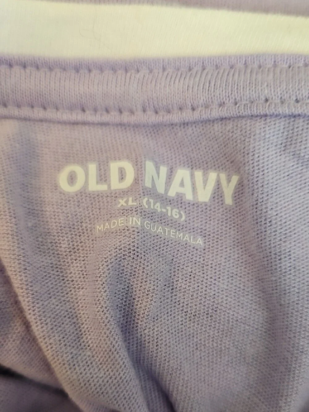 Old Navy Lavender 'Take A Hike' Long Sleeve Tee with Green Graphic